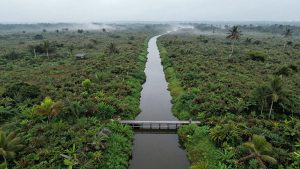 Ilustrasi aerial lahan gambut tropis dengan kanal air dan bangunan sekat, tanpa orang